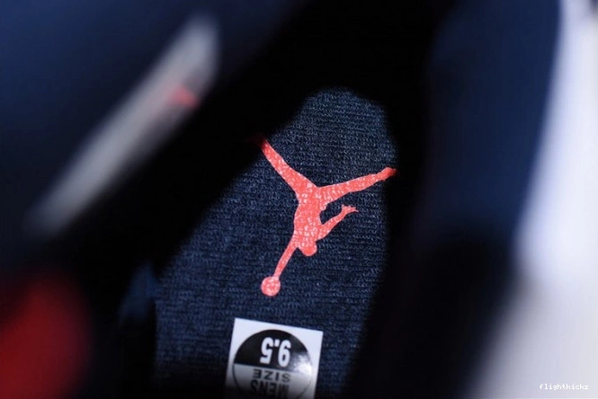 Air Tinker 23-Neutral Jordan White Retro 6 Grey-Sail Infrared 384664-104 0730